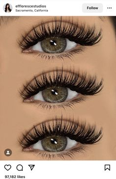 Full Cat Eye Lash Extensions, Full Wispy Eyelash Extensions, Eyelash Extensions With Color, Hybrid Wispy Lash Extensions, Eye Lash Extensions Styles, Eyelash Extensions Wispy, Extension Lashes, Natural Fake Eyelashes, Evening Eye Makeup