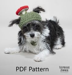 a black and white dog wearing a green knitted hat with a mushroom on top