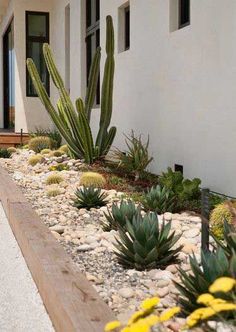 a house with cactus plants in front of it and yellow flowers on the side walk