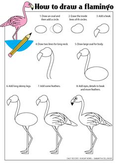 how to draw a flamingo step by step instructions for kids and adults with pictures