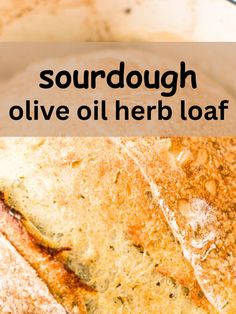 olive oil sourdough herb loaf in Dutch Oven