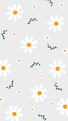 white daisies and green leaves on a gray background