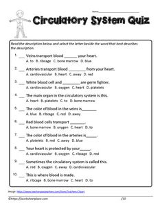 the croutory system quiz is shown in this worksheet for students to learn