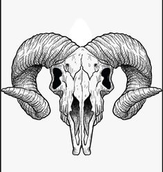 an animal skull with long horns on it's head, drawn in black and white