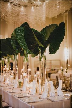 there are many tall vases with plants in them on the tables at this wedding reception