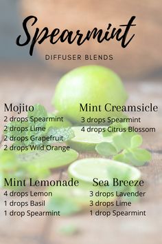 Spearmint Essential Oil, Oil Remedies, Essential Oils Herbs, Sinus Congestion