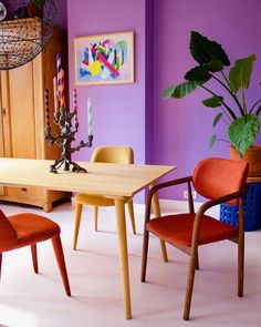 a dining room with purple walls and orange chairs around a table in front of a potted plant