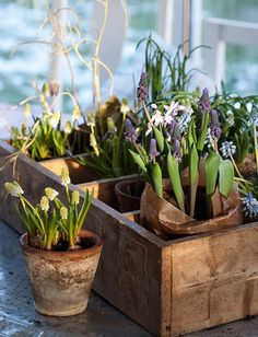 three wooden boxes filled with plants on top of a table