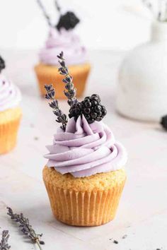 cupcakes with lavender frosting and blackberries on top