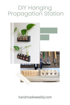 the diy hanging decoration station is made from wood and has plants growing in it