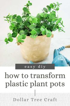 a potted plant with the words how to transform plastic plant pots dollar tree craft