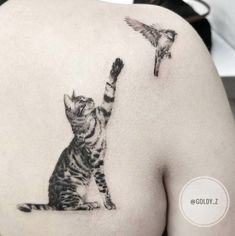 a cat reaching up to a bird on the back of a woman's shoulder