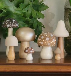 several different types of mushrooms sitting on a table next to a potted green plant