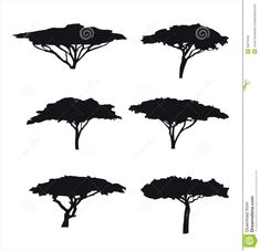 black silhouettes of trees on a white background - stock photo, images and clipart