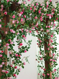 pink flowers are growing up the side of a wooden trellis in front of a white wall