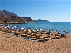 many umbrellas and chairs are lined up on the beach near the water's edge