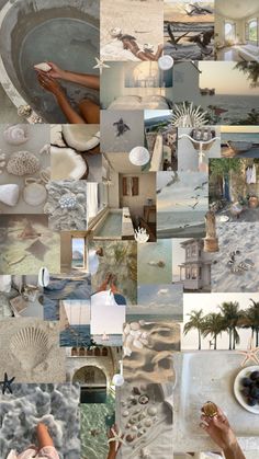 a collage of pictures with people in the water and shells on the beach, palm trees