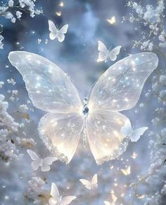 butterflies flying in the sky with white flowers