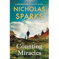 a book cover with the title of counting mirages by nicholas sparks and an image of a man standing on top of a hill