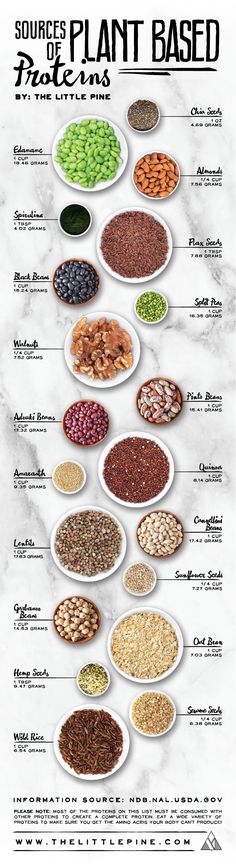 Say what?! There's protein in nuts, seeds, beans and grains? You betcha! And we've got a whole list of sources to share with you! Proteins Chart, Natural Meals, Plant Based Foods, Plant Based Protein Sources, Plant Based Eating, Wild Rice, Diet Keto