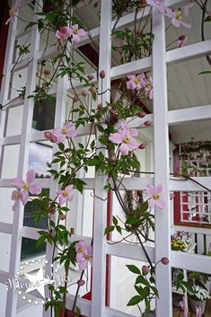 a white ladder with pink flowers growing on it