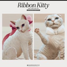 two pictures of cats in different poses with the caption ribbon kitty