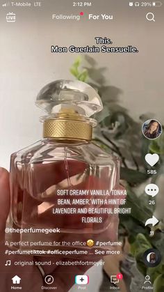 Perfumes To Smell Rich, Perfumes For Different Aesthetics, Perfume That Makes You Smell Rich, Guerlain Mon Guerlain, Popular Women’s Perfumes, Perfume Recommendations Tiktok, Body Hygiene