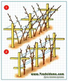 the diagram shows how to build an electric fence with two different types of poles and wires