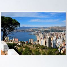 a view of the city and ocean from atop a hill