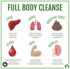 Full Body Cleanse, Digestive Tract, Fiber Diet, Feminine Health, High Fiber Diet, Body Cleanse, Colon Cleanse