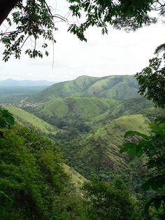 green hills and trees are in the distance