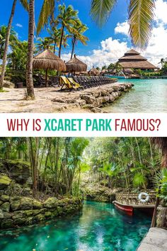 two pictures with the words why is xcaret park famous? and palm trees