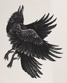 a black and white drawing of a bird with its wings spread out, flying in the air