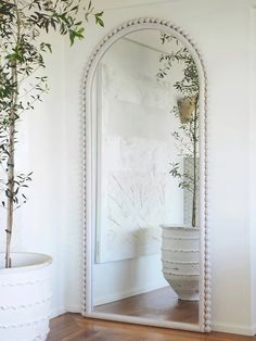 a large mirror sitting on top of a wooden floor next to a potted plant