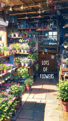 the inside of a flower shop filled with potted plants