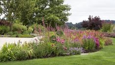 a garden filled with lots of different types of flowers