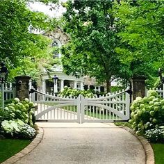 an image of a white gate in the middle of a driveway with hydrangeas around it