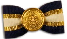 Hot Bows Admiral French Clip Dog Hair Barrette Navy And Gold Hair Bow, Navy Blue And Gold, French Clip, Gold Ribbon, Gold Ribbons, Gold Medal, Fun Designs, Ribbon Bow, Center Stage