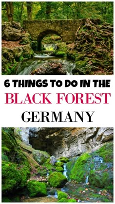 the black forest in germany with text overlay reading 6 things to do in the black forest