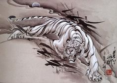 a drawing of a tiger running across a field