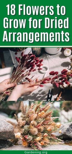 18 Flowers to Grow for Dried Arrangements Big Leaf Hydrangea, Dried Flower Bouquets, Flowers To Grow, Pressed Flower Crafts, Gardening Flowers