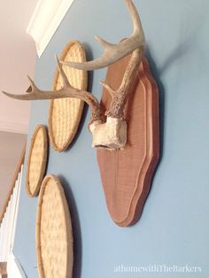 two deer antlers mounted to the side of a blue wall next to some baskets