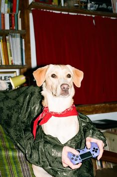 a dog sitting on a couch holding a video game controller in it's paws