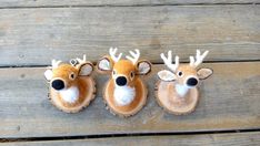 three stuffed deer head mounted on wooden boards