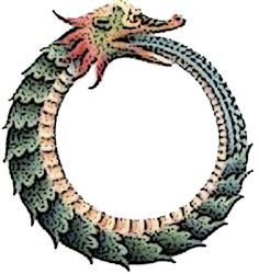 a drawing of a dragon in the shape of a circle with its tail curled up