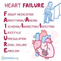 the heart is labeled in different languages, including words and pictures that describe it's functions