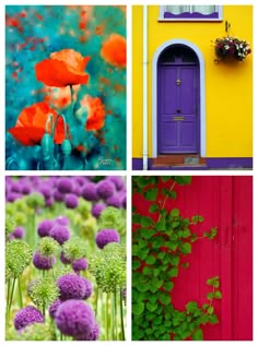 four different pictures with flowers and plants in front of the door, one is purple