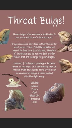 a poster with different types of lizards on it's back side and the words, throat