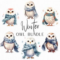 watercolor owls with scarves and scarfs on their heads are featured in the winter owl bundle