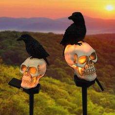 two skull shaped lights with a crow on top of them and a sunset in the background